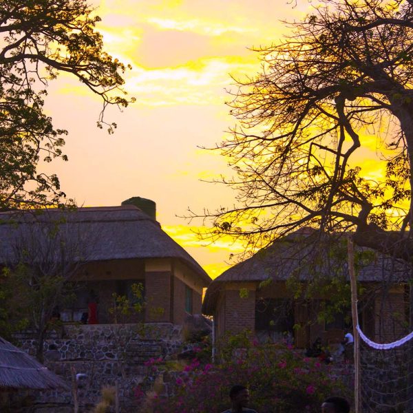 likomafestival projects